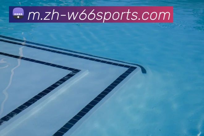 App Interface Preview